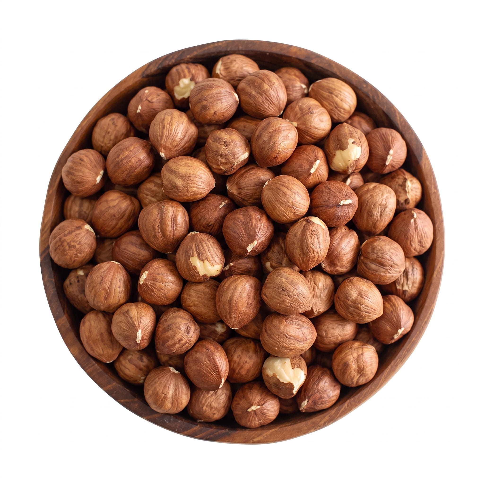 مغز فندق